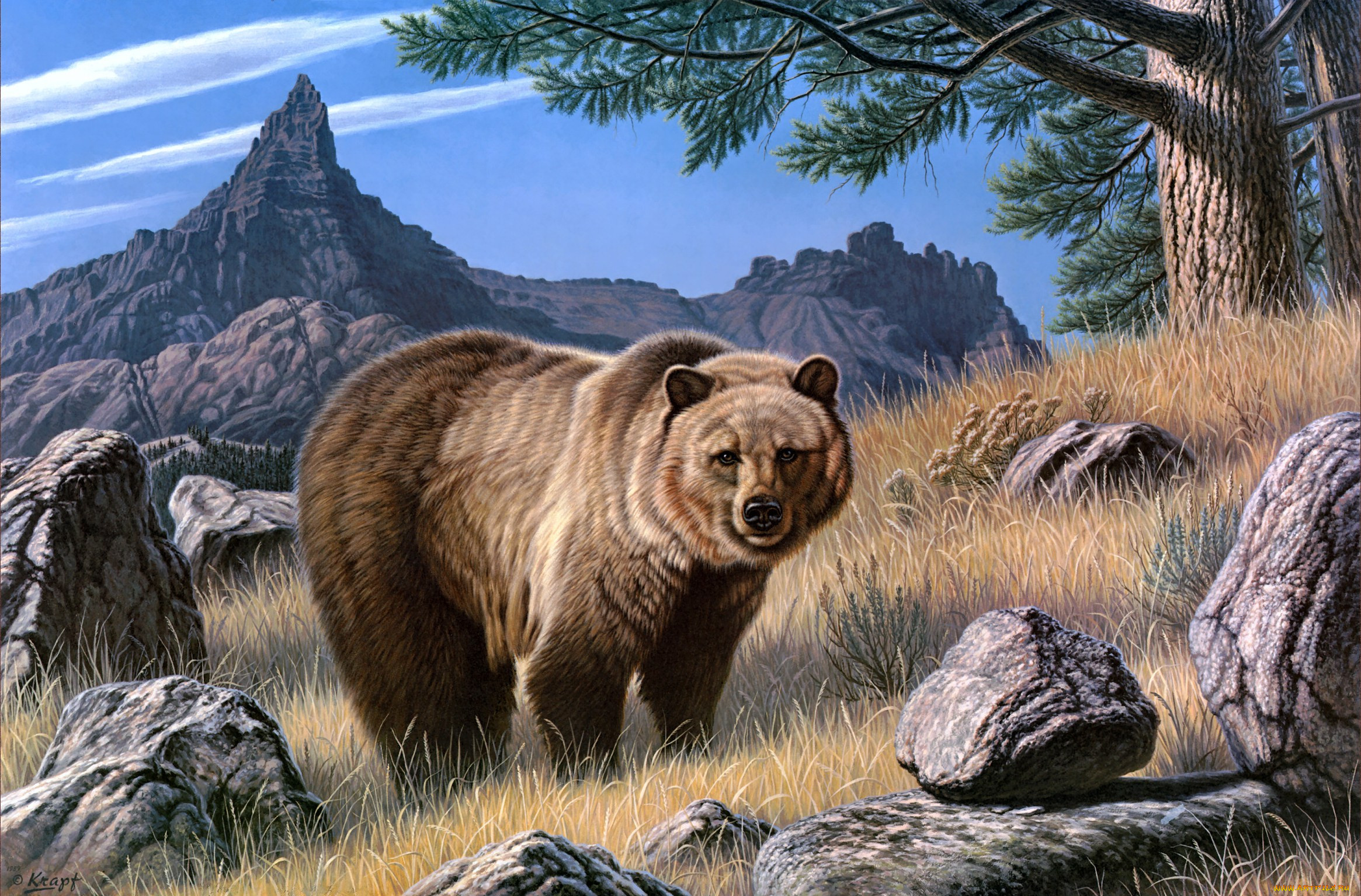 grizzly, country, , paul, krapf, , 